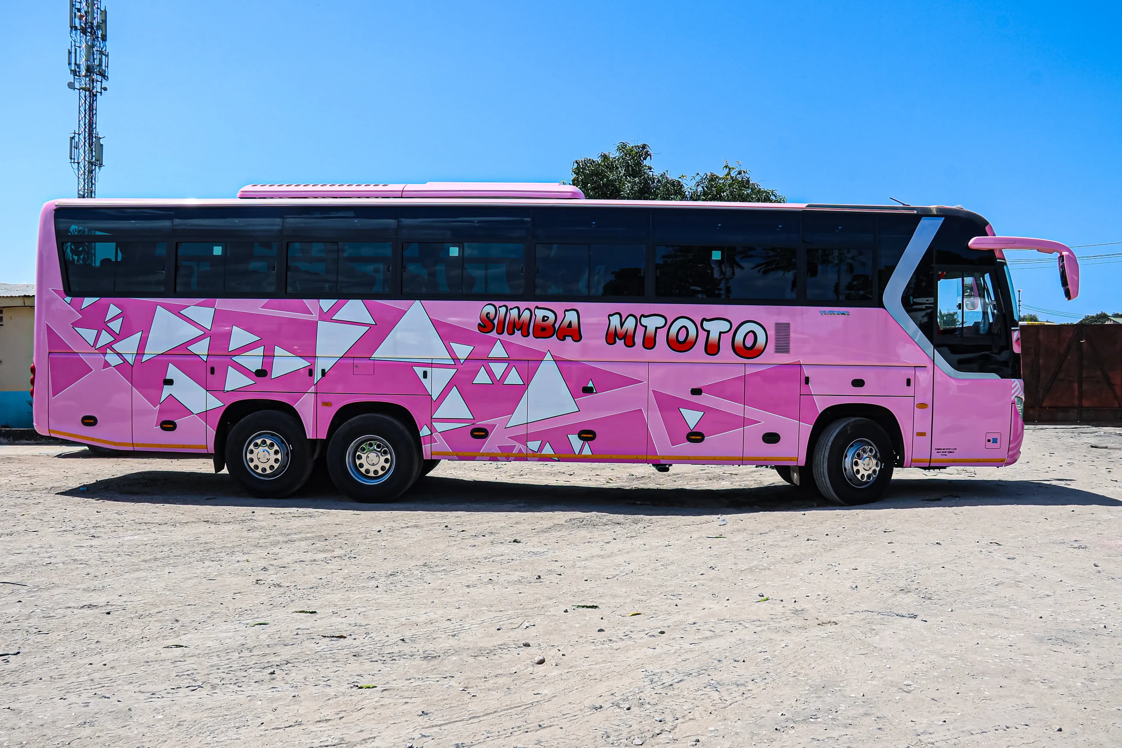 Simba Mtoto bus fleet